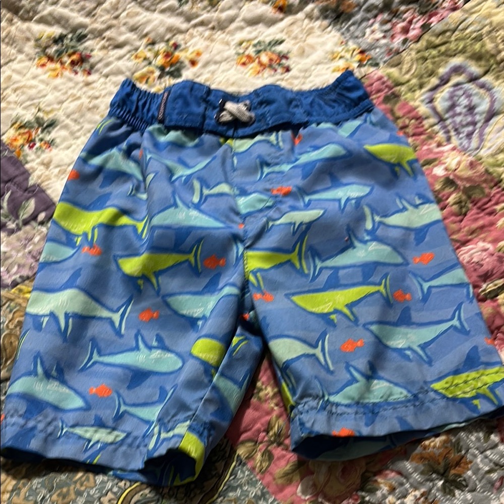 Kids Shark Print Swim Trunks - Blue and Green